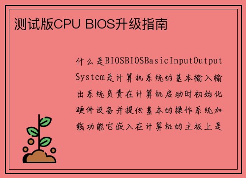 测试版CPU BIOS升级指南