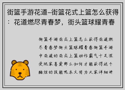 街篮手游花道-街篮花式上篮怎么获得：花道燃尽青春梦，街头篮球耀青春